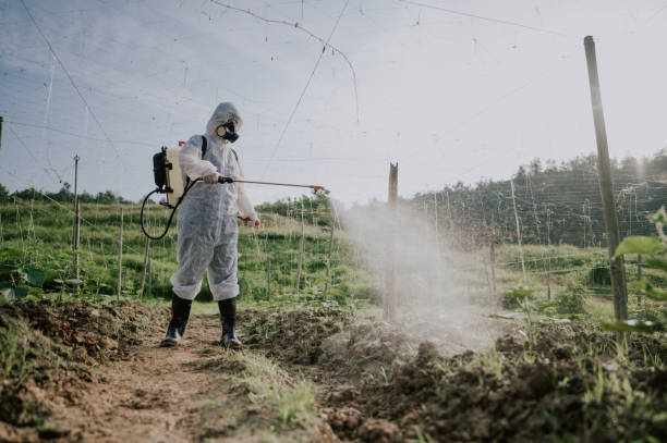 Best Mosquito Control Services  in Sun City, AZ