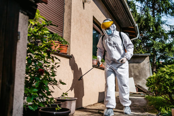 Professional Pest Control in Sun City, AZ