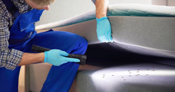 Best Residential Pest Control  in Sun City, AZ