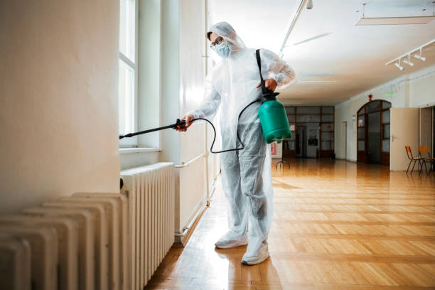 Best Local Pest Control Services  in Sun City, AZ
